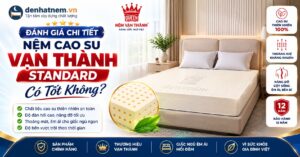 Đánh Giá Chi Tiết Nệm Cao Su Vạn Thành Standard Có Tốt Không? - Đệ Nhất Nệm
