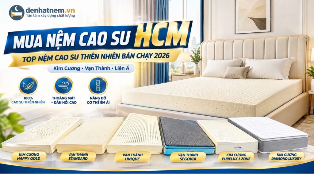 Mua Nệm Cao Su HCM Chính Hãng Giá Kho | Đệ Nhất Nệm 2026