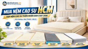 Mua Nệm Cao Su HCM Chính Hãng Giá Kho | Đệ Nhất Nệm 2026
