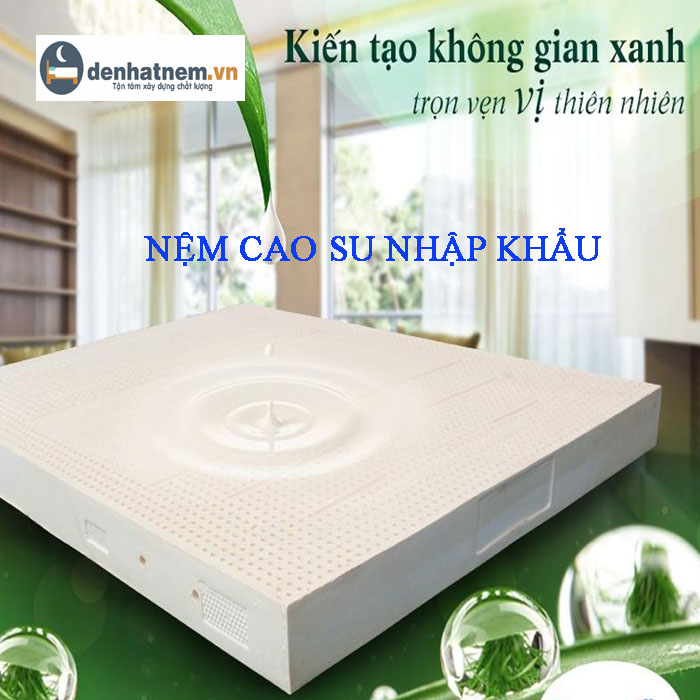 Top 3 sản phẩm nệm cao su nhập khẩu bạn không thể bỏ qua