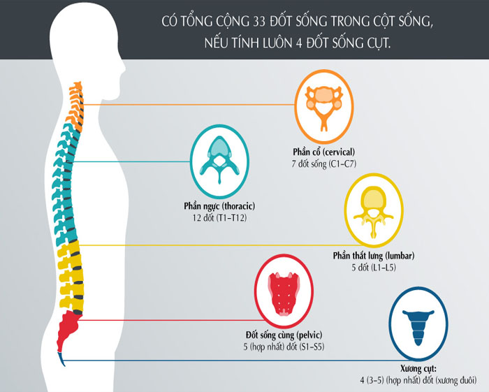 Những bệnh lý thường gặp về cột sống