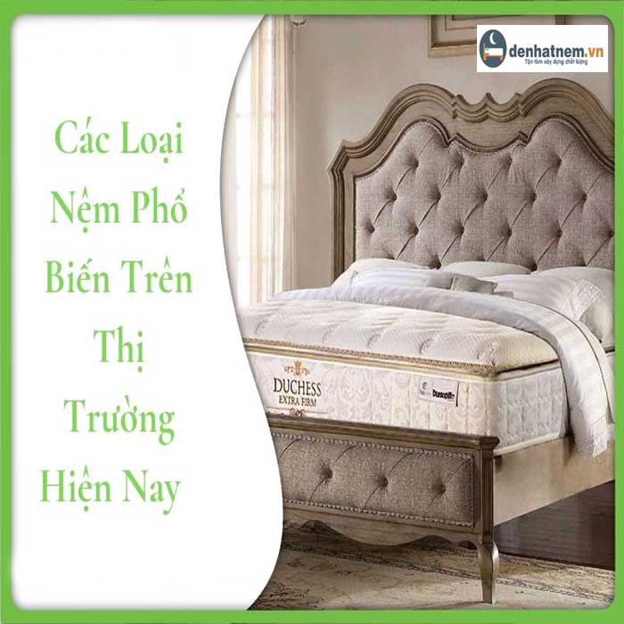 Các loại nệm phổ biến nhất trên thị trường hiện nay