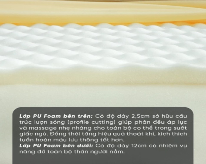 Cấu trúc bọt mút Foam dẻo dai, đàn hồi êm dịu