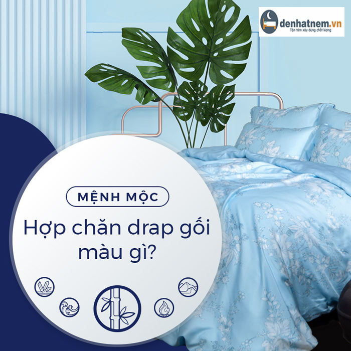 Tư vấn chọn chăn drap gối mệnh Mộc phù hợp nhất