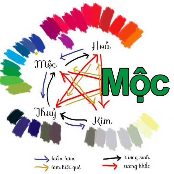 Những đặc điểm cơ bản trong phong thủy người mệnh Mộc