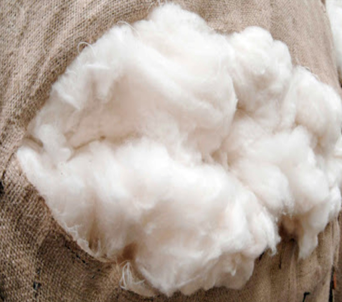 Vải Cashmere được đánh giá cao bởi tính chất cách nhiệt của nó