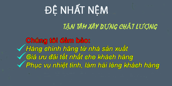 Mua nệm chỉ từ 500k từ Đệ Nhất Nệm