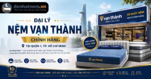 Đại lý nệm Vạn Thành chính hãng tại Quận 1, TP. HCM