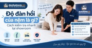 Độ Đàn Hồi Của Nệm: Cách Kiểm Tra Chuẩn 2026 | Đệ Nhất Nệm