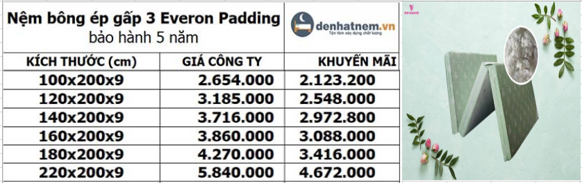 Nệm bông ép Everon Padding 9cm khuyến mãi mới nhất