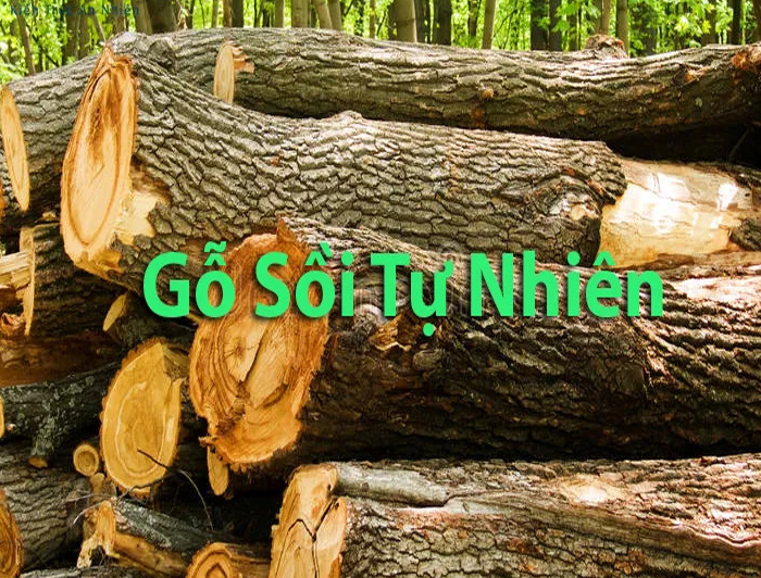Giường gỗ sồi là loại giường ngủ được làm từ gỗ sồi nguyên khối