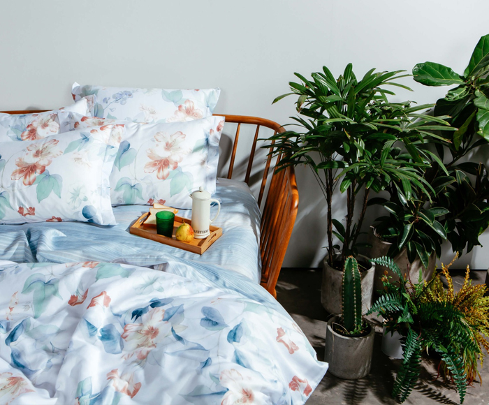 Hòa tấu giữa thành, giường và drap gối nệm