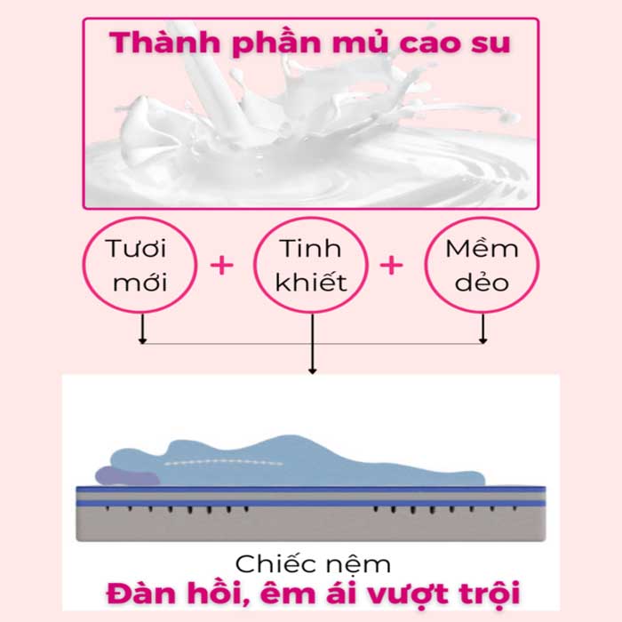 Cao su Latex là trạng thái nhũ tương của các hạt tử cao su một chất lỏng phức hợp