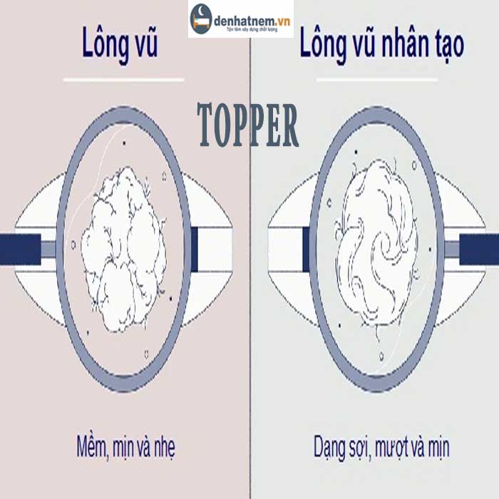 Topper lông vũ nhân tạo và tự nhiên, nên chọn loại nào?