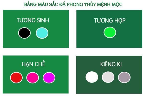 Người mệnh Mộc hợp màu đen, xanh nước biển thẩm hoặc xanh lá