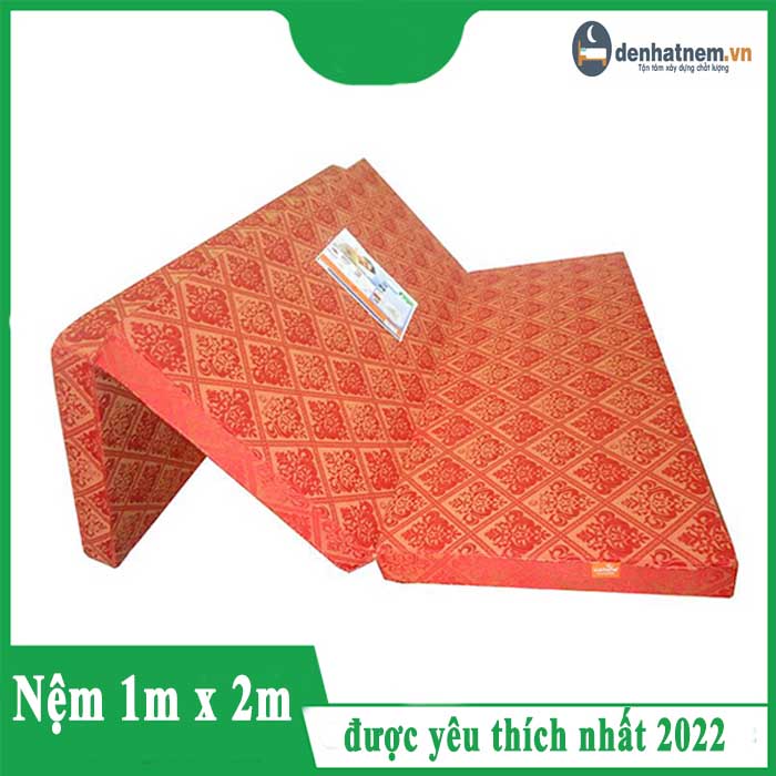 Top 5 nệm 1m x 2m được nhiều người yêu thích nhất