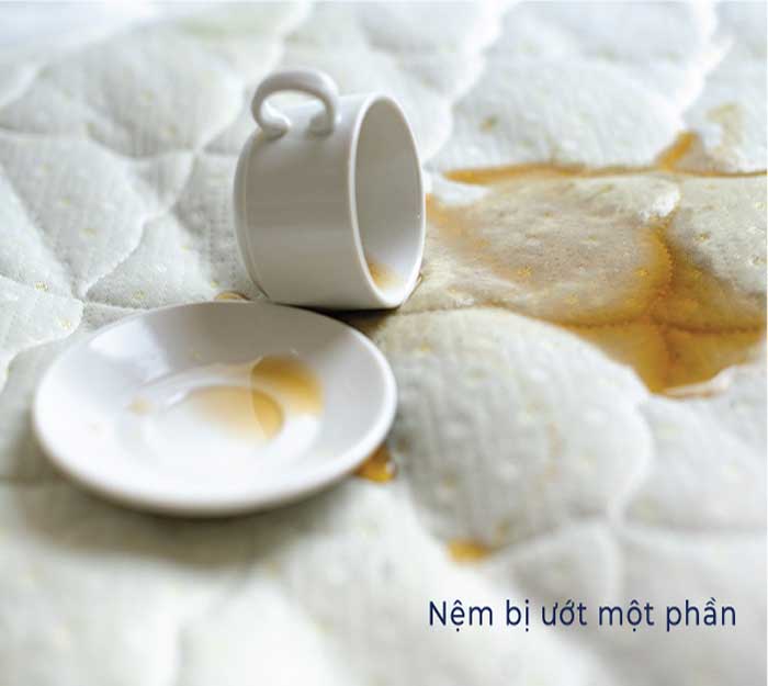 Hong khô bằng quạt hoặc để khô tự nhiên sau khi vệ sinh chỗ bị vấy bẩn