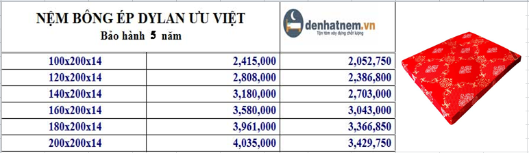 Dylan Ưu Việt giá rẻ chỉ từ 2tr đồng