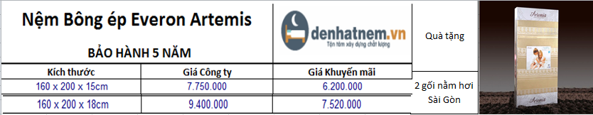 Everon Artemis khuyến mãi 20% chỉ từ 6.2 triệu