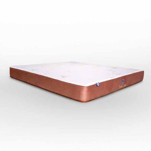 Nệm cao su Aroma Foam Latex 2024