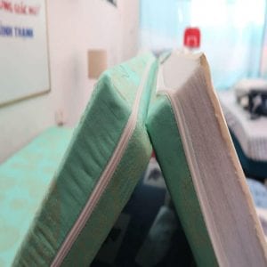 Adora không côn trùng lưu trú