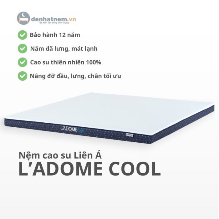 Nệm cao su L'a Dome Cool mới nhất 2024