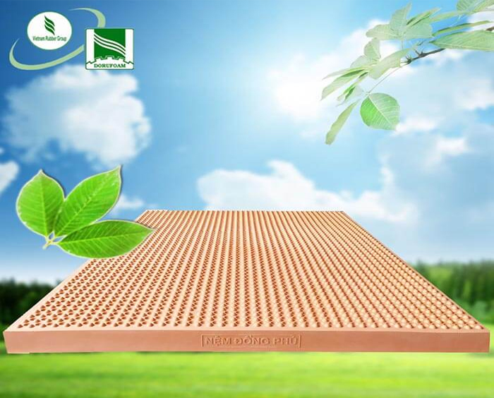 Thương hiệu nệm cao su thiên nhiên Đồng Phú