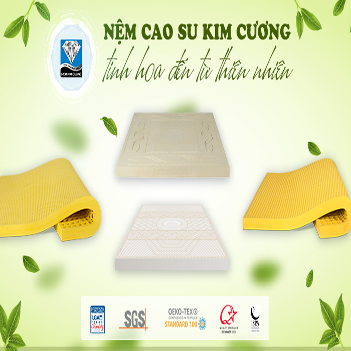 5+ lý do nên chọn nệm cao su thiên nhiên Kim Cương