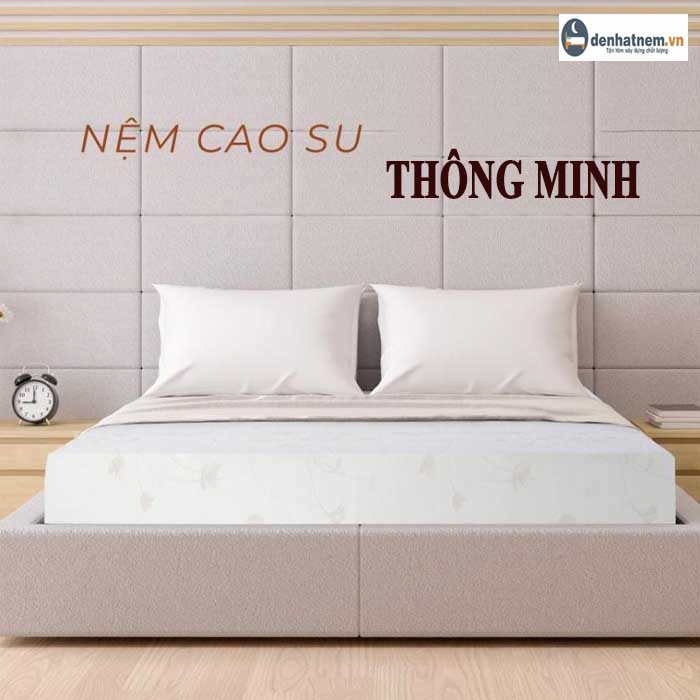 Nệm cao su thông minh - Nâng đỡ hoàn hảo cơ thể