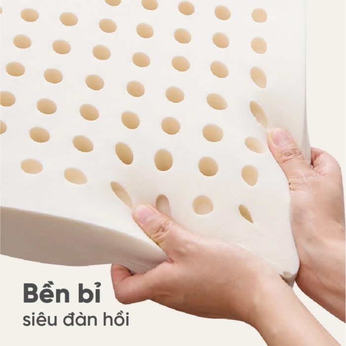 Nệm cao su Vạn Thành Standard tại Đệ Nhất Nệm