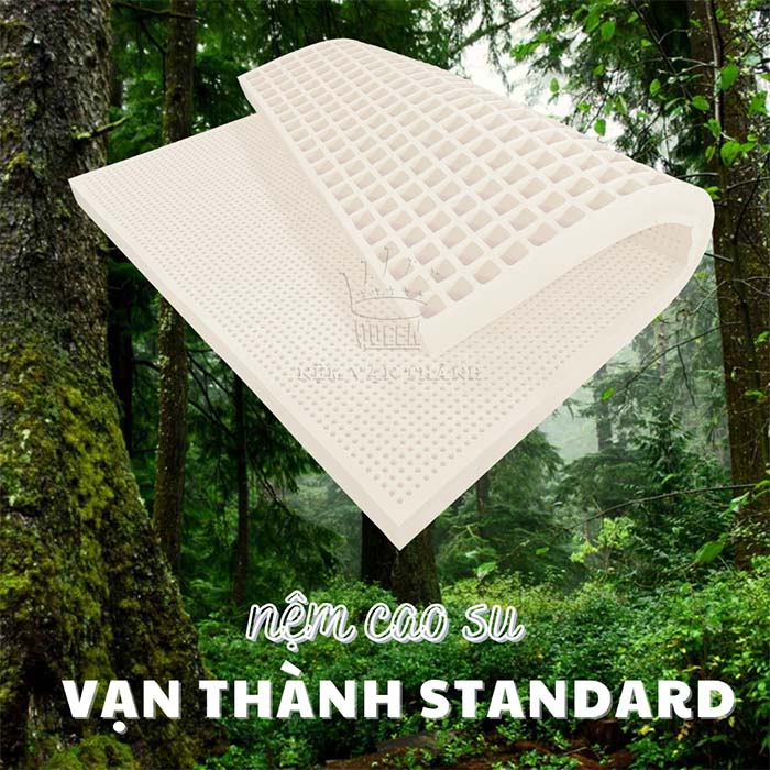 Giá thành của nệm cao su thiên nhiên Vạn Thành cũng thuộc top cao