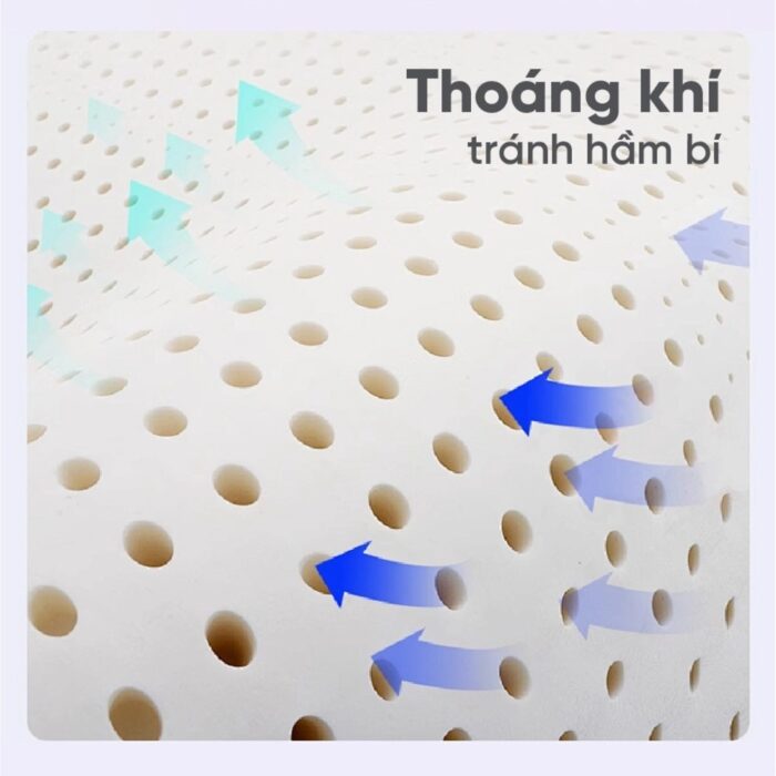 Nệm cao su Vạn Thành Standard tại Đệ Nhất Nệm