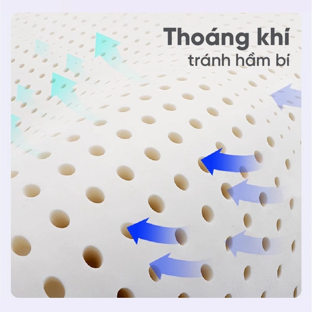 Nệm cao su Vạn Thành Standard tại Đệ Nhất Nệm