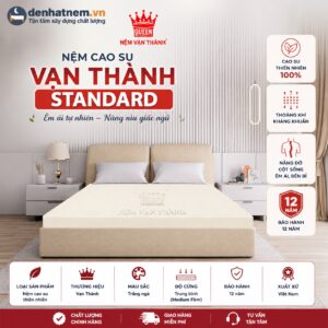Nệm cao su Vạn Thành Standard tại Đệ Nhất Nệm