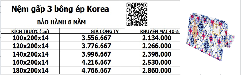 Nệm bông Korea siêu khuyến mãi lên đến 40%