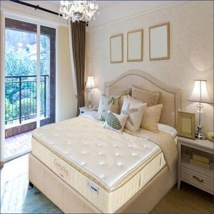 Nệm lò xo Dunlopillo Camellia