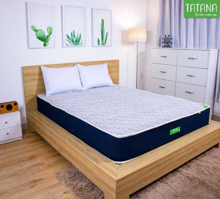 Thương hiệu nệm lò xo TATANA nổi bật với nhiều dòng sản phẩm