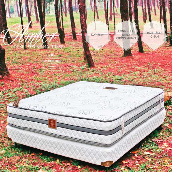 Kết cấu nệm tạo sự vững chắc, nâng đỡ cột sống tối ưu