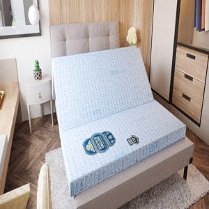 EUCOCO ORGANIC bảo hành 12 năm