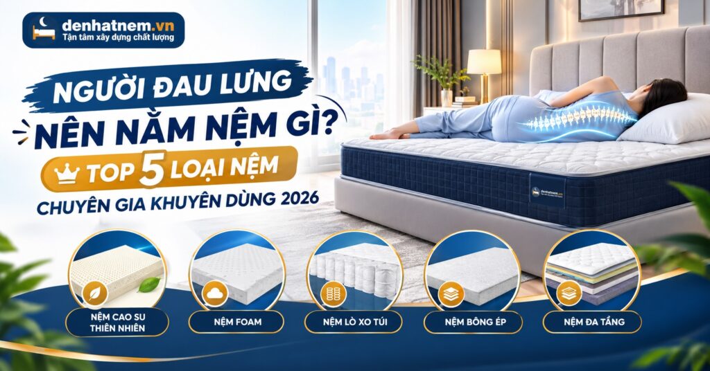 Nệm Nâng Đỡ Cột Sống Tốt Nhất 2026 | Đệ Nhất Nệm