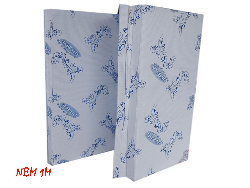 Đặc trưng và nhu cầu sử dụng của nệm 1m