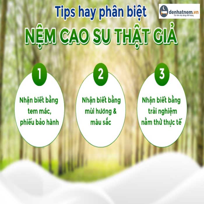 Phân biệt nệm cao su thiên nhiên thật giả nhanh chóng