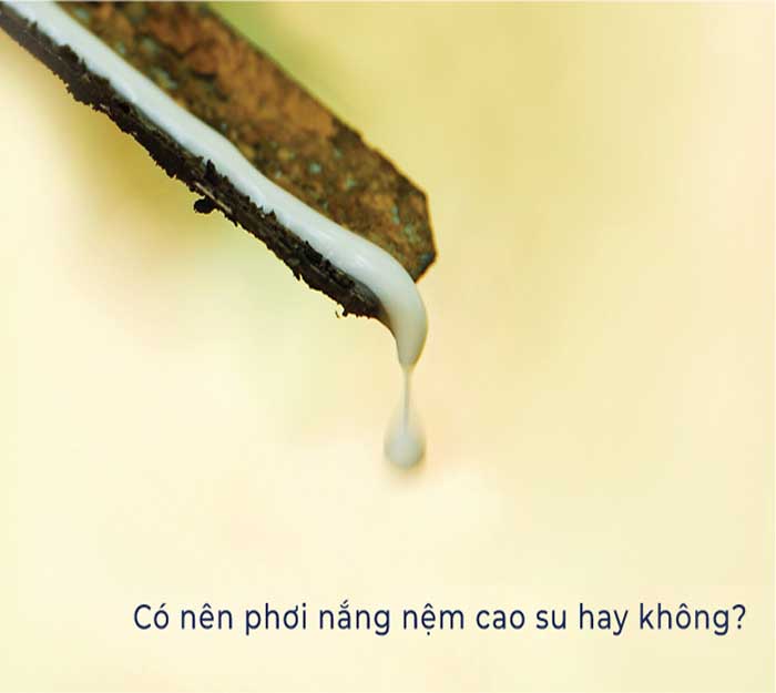 Nệm cao su không thích hợp cho việc phơi nắng hoặc tiếp xúc với nguồn nhiệt nóng