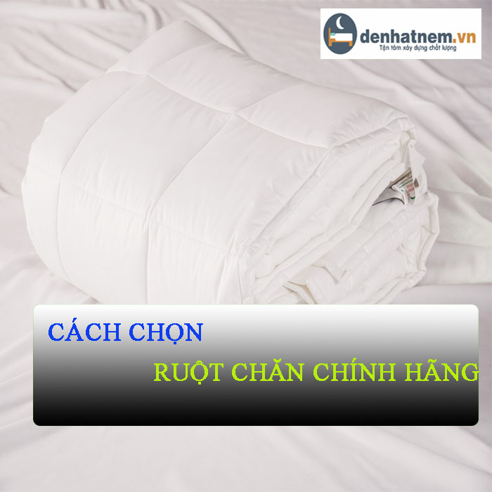 Mách bạn cách chọn mua ruột chăn chính hãng hiện nay