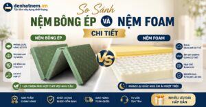 So sánh nệm bông ép và nệm foam: Loại nào không đau lưng, bền đẹp và giá tốt tại Đệ Nhất Nệm? Tư vấn chọn mua nệm chuẩn theo thể trạng. Xem ngay!