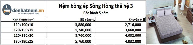 Nệm bông ép sông Hồng thế hệ 3 kích thước 1m2x1m9 giá cực tốt