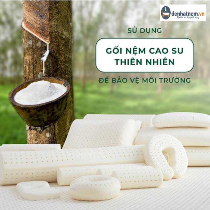 Sử dụng gối nệm cao su thiên nhiên để bảo vệ môi trường