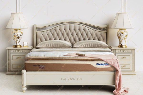 Nằm trong bộ sưu tập Dunlopiilo Luxury không thể không kể đến Talasilver Wave Aries