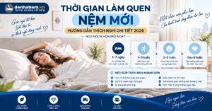 Thời Gian Làm Quen Nệm Mới: Hướng Dẫn Chi Tiết 2026 | Đệ Nhất Nệm