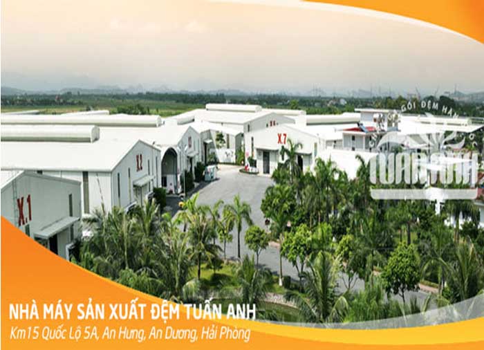 Thương hiệu nệm Tuấn Anh đã đứng vững trên thị trường hơn 20 năm